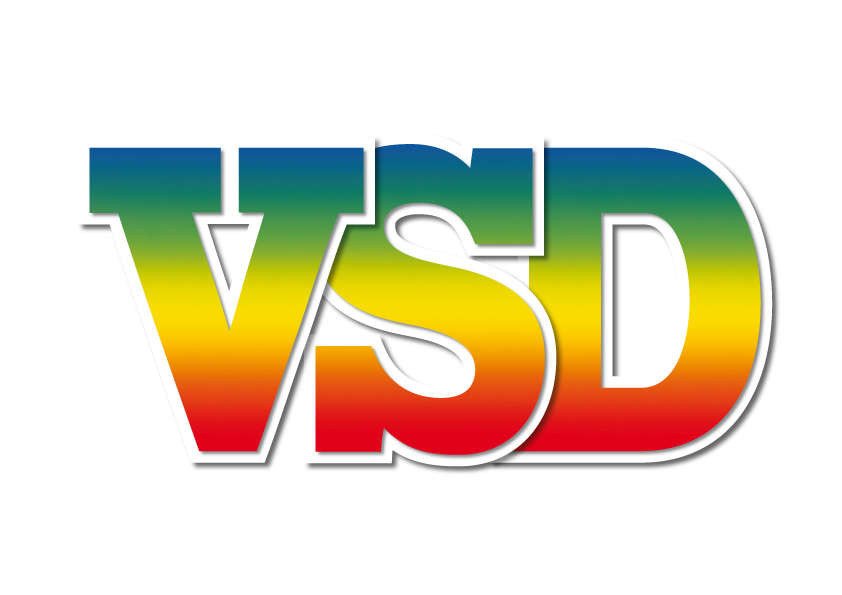 logo VSD PUBLISHING