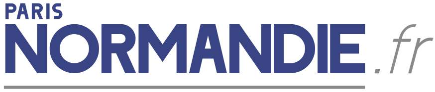 logo SOCIETE NORMANDE D'INFORMATION & COMMUNICATION