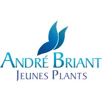 ANDRE BRIANT JEUNES PLANTS