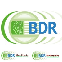 logo B D R