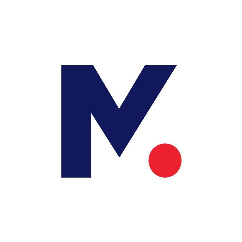 logo MAGNETISM