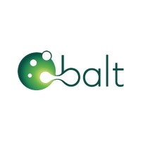 logo BALT EXTRUSION