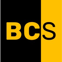 BEN CONSULTING SERVICES