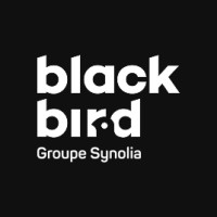 BLACKBIRD AGENCY