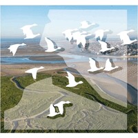 CA DE LA BAIE DE SOMME