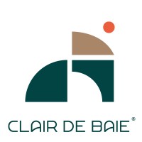 logo CDB LYON SUD