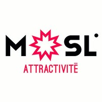 logo COMITE DEPARTEMENTAL TOURISME DE MOSELLE