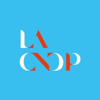 COMMISSION NATIONALE DU DEBAT PUBLIC