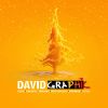 logo DAVID GRAPHIC