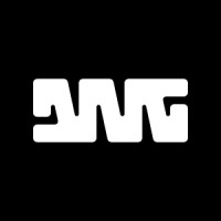 DIGITAL NATIVE GROUP