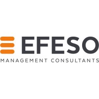 EFESO CONSULTING FRANCE