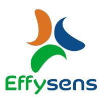 logo EFFYSENS