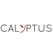 logo CALYPTUS
