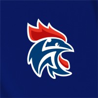 logo FEDERATION FRANCAISE DE HANDBALL