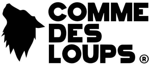 logo FIDELLIMPORT