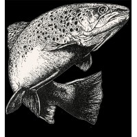 FILS DE CHARLES MURGAT