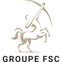 GROUPE FRANCOIS SANCHEZ CONSULTANTS