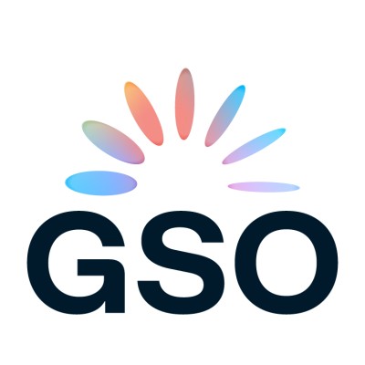 logo GROUPE SUD OUEST SA