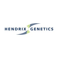 HENDRIX GENETICS TURKEYS FRANCE (ACCOUVAGE DE DINDONNEAUX)