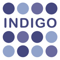 logo INDIGO CAPITAL