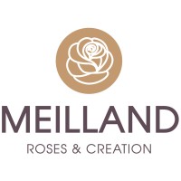 MEILLAND INTERNATIONAL