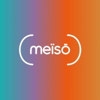 MEISO