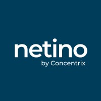 logo NETINO