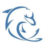 P F I PRESTATIONS FORMATION INFORMATIQUE