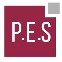 logo PAYE EXPERT SOLUTIONS