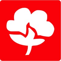 SOCIETE COTONNIERE LYONNAISE