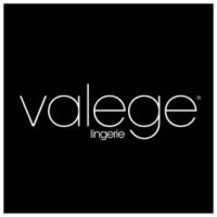 logo VALEGE DISTRIBUTION