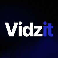 logo VIDZIT